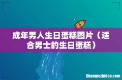 适合男士的生日蛋糕 成年男人生日蛋糕图片