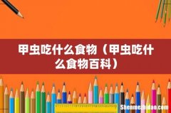 甲虫吃什么食物百科 甲虫吃什么食物
