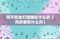 鸡厌食吃什么药 鸡不吃食打瞌睡吃什么药