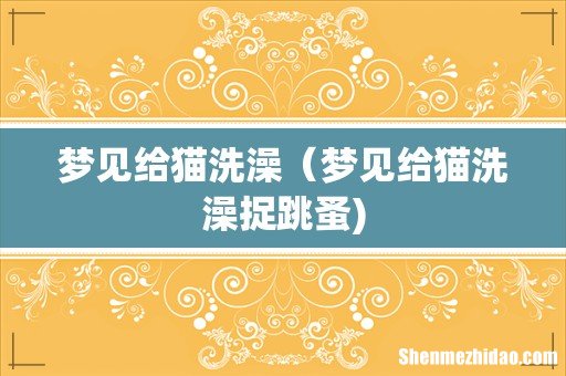 梦见给猫洗澡(梦见给猫洗澡捉跳蚤)