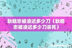 耿精忠被凌迟多少刀杀死 耿精忠被凌迟多少刀