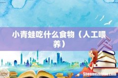 人工喂养 小青蛙吃什么食物