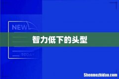 智力低下的头型