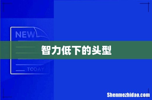 智力低下的头型