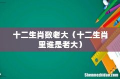 十二生肖里谁是老大 十二生肖数老大