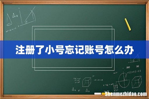注册了小号忘记账号怎么办