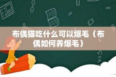 布偶如何养爆毛 布偶猫吃什么可以爆毛