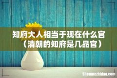 清朝的知府是几品官 知府大人相当于现在什么官