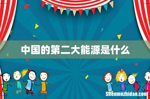 中国的第二大能源是什么