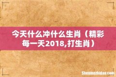 精彩每一天2018,打生肖 今天什么冲什么生肖