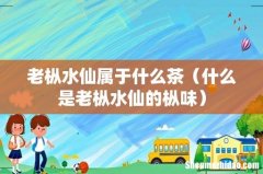 什么是老枞水仙的枞味 老枞水仙属于什么茶