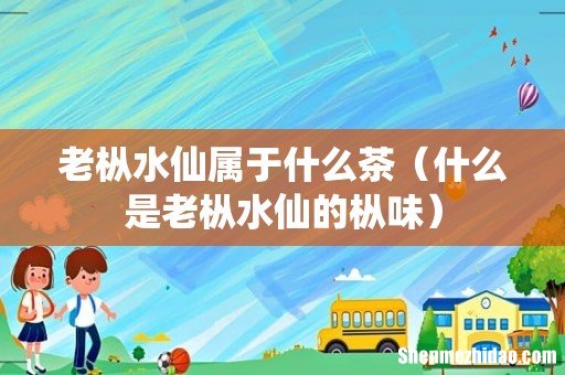 什么是老枞水仙的枞味 老枞水仙属于什么茶