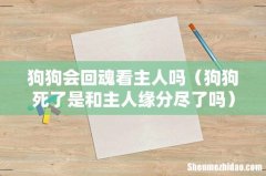 狗狗死了是和主人缘分尽了吗 狗狗会回魂看主人吗