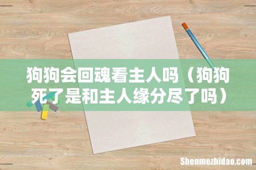 狗狗死了是和主人缘分尽了吗 狗狗会回魂看主人吗