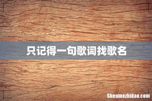 只记得一句歌词找歌名
