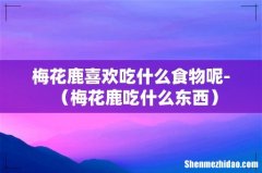 梅花鹿吃什么东西 梅花鹿喜欢吃什么食物呢-
