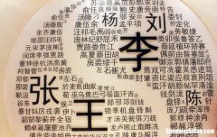 安徽有多少姓邹的 安徽有多少姓邹的人