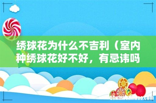 室内种绣球花好不好，有忌讳吗 绣球花为什么不吉利