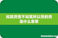 知其然而不知其所以然的然是什么意思