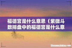 紫微斗数排盘中的福德宫是什么意思 福德宫是什么意思