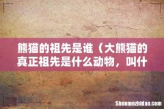 大熊猫的真正祖先是什么动物，叫什么名字 熊猫的祖先是谁