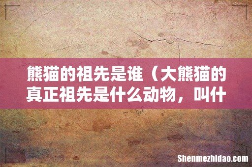 大熊猫的真正祖先是什么动物，叫什么名字 熊猫的祖先是谁