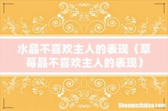 草莓晶不喜欢主人的表现 水晶不喜欢主人的表现