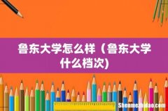 鲁东大学怎么样（鲁东大学什么档次)