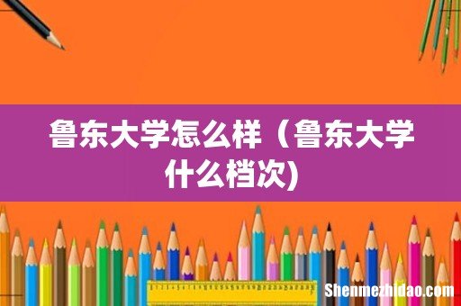 鲁东大学怎么样（鲁东大学什么档次)