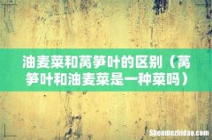 莴笋叶和油麦菜是一种菜吗 油麦菜和莴笋叶的区别