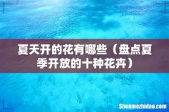 盘点夏季开放的十种花卉 夏天开的花有哪些