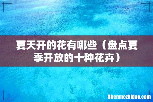 盘点夏季开放的十种花卉 夏天开的花有哪些