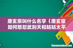 唐玄宗如何怒怼武则天和姑姑太平公主的 唐玄宗叫什么名字