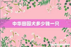中华田园犬多少钱一只
