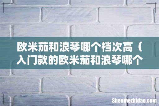 入门款的欧米茄和浪琴哪个好 欧米茄和浪琴哪个档次高