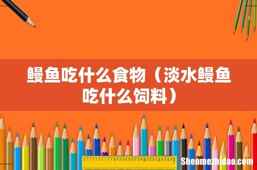 淡水鳗鱼吃什么饲料 鳗鱼吃什么食物