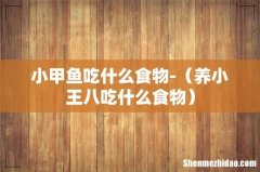 养小王八吃什么食物 小甲鱼吃什么食物-