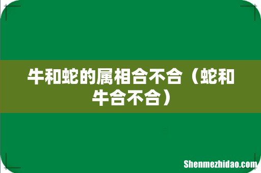 蛇和牛合不合 牛和蛇的属相合不合