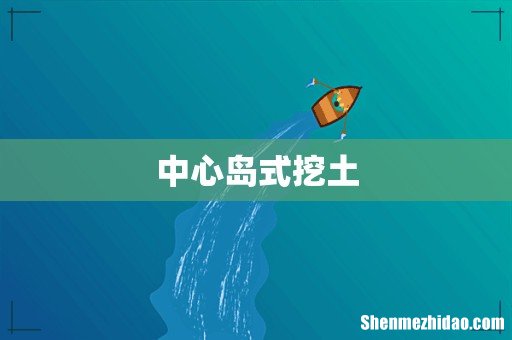 中心岛式挖土
