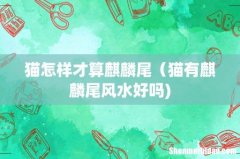 猫怎样才算麒麟尾（猫有麒麟尾风水好吗)