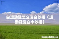 运动鞋洗白小妙招 白运动鞋怎么洗白妙招