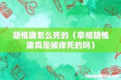 宰相胡惟庸真是被痒死的吗 胡惟庸怎么死的