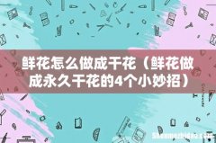 鲜花做成永久干花的4个小妙招 鲜花怎么做成干花