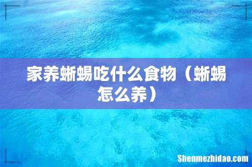 蜥蜴怎么养 家养蜥蜴吃什么食物