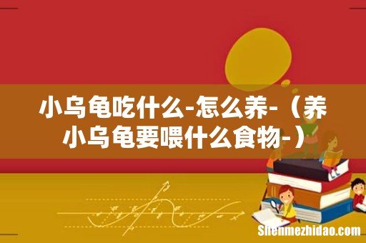 养小乌龟要喂什么食物- 小乌龟吃什么-怎么养-