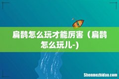 扁鹊怎么玩才能厉害（扁鹊怎么玩儿-)