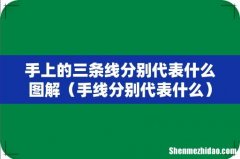 手线分别代表什么 手上的三条线分别代表什么图解