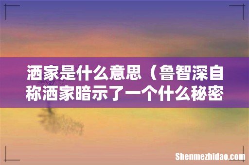 鲁智深自称洒家暗示了一个什么秘密 洒家是什么意思