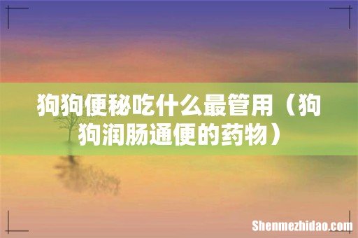 狗狗润肠通便的药物 狗狗便秘吃什么最管用
