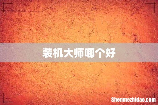 装机大师哪个好